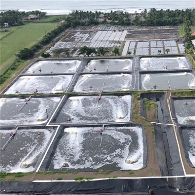 Какова проницаемость HDPE Geomembrane?